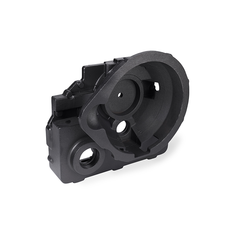 Carcasă convertizor de cuplu din fontă gri Carcasă convertizor de cuplu din fontă gri